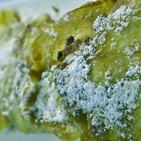 Alojamento de Acomodação e Pequeno-almoço Karpacz, Do Centrum 900 M, Dostepna Dieta Bezglutenowa Z Certyfikatem, Celiakia